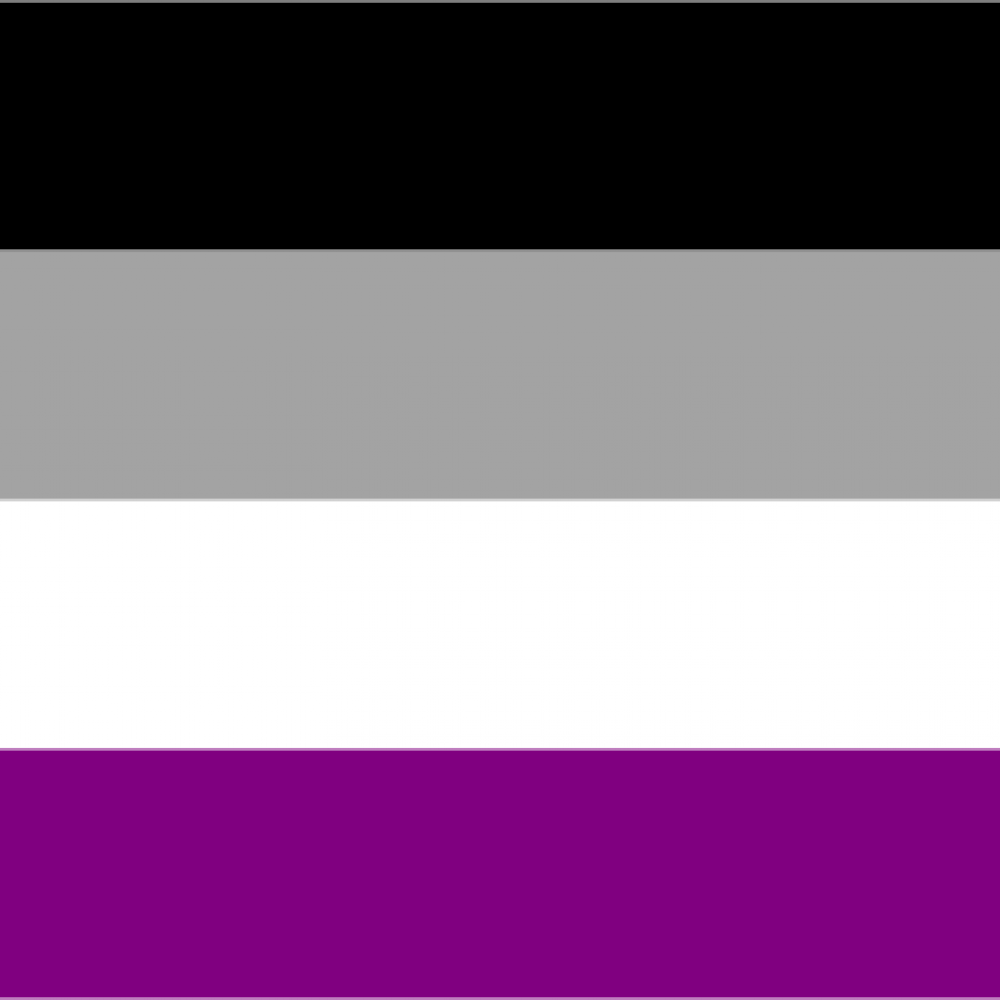 Asexualität Pride Flagge